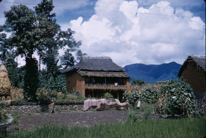 Back garden of a house in Kathmandu Valley