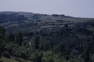 Fields around Jarmenovci