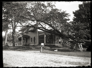 Large tree and house last owned by Emma Curtis (Greenwich Plains, Mass.)