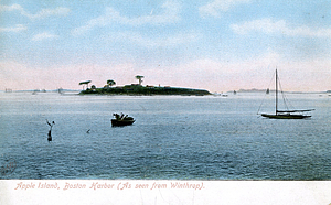 A Color Post Card Picture of Apple Island and Boston Harbor as Seen From Winthrop, MA.