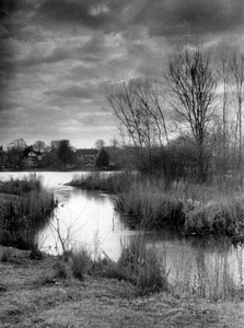 Ell Pond: Melrose, Mass.