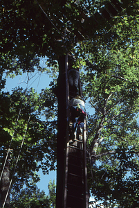 Canopy walkway 13. People nearing canopy walkway from the entry ladder at east end tower, view from below.