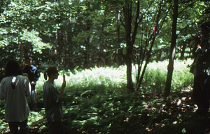 Hayscented Fern Study. 13. Left to right: Andrew Werbrock (Class of 2000), Paola Peacock, Jessica Tierney, and Philip Bartels in Permanent plot near Taconic Range ridge.