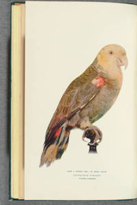 From a stuffed bird, in three colors