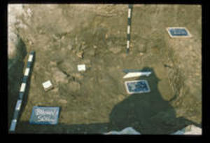 Brown soil and yellow mortar at Trench 27, 1979