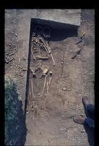 Skeletal Remains at Trench 14, 1972