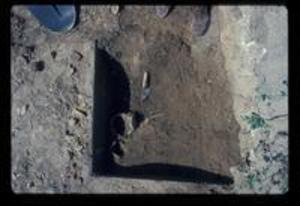 Trench 14, 1972