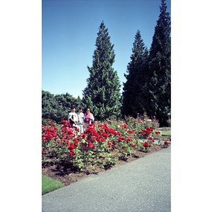 Chinese Progressive Association members visiting a botanical garden on a trip to Vancouver