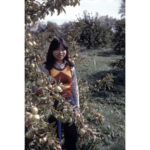 Woman in an orchard during a Chinese Progressive Association trip