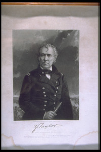 Portrait of Zachary Taylor
