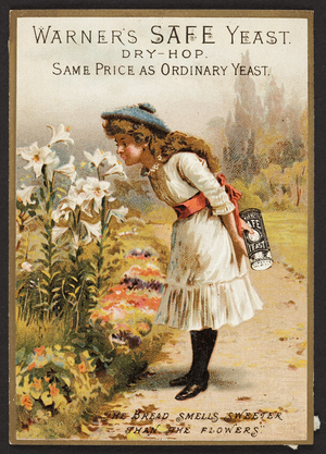 Trade card for Warner's Safe Yeast, H.H. Warner & Co., Rochester, New York, undated