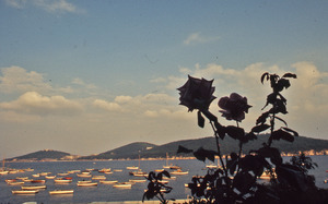 Rowboats at anchor