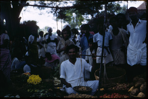 Vegetable seller at market in Mangadu