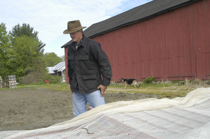 Lazy Acres Farm (Zuchowski Farm): Allan Zuchowski walking past cold frames