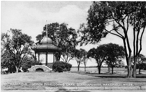 Wakefield Common overlooking Lake Quannpowitt, Wakefield, Mass.