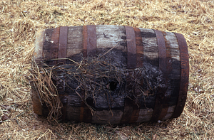 Cider barrel in Moon Lot.