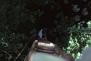 Canopy walkway 10. People on ground at entry ladder at east end tower, view from above.
