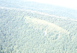 Aerial oblique view of bald in southwestern Hopkins Forest (Permanent Plots 1105 to 1206) on 14 July 1971.