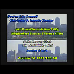 Joint Committee on Asthma and City, Neighborhood Services, and Veterans' Affairs meeting recording
