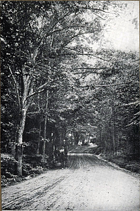 Lynn Woods, about 1893