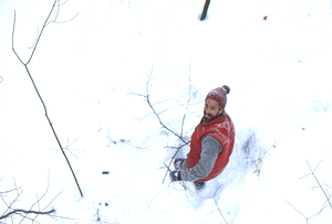 David P. Dethier sampling twigs for chemical analysis.
