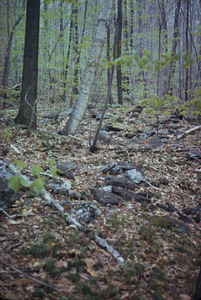 Bovee Farm, barn stone foundation, South Branch Birch Brook.