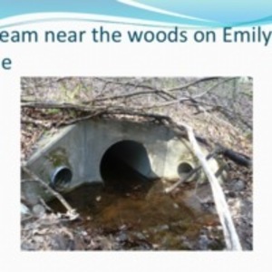 Stream on Emily Lane