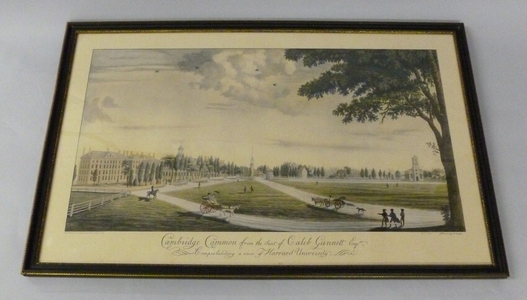 Print of the Cambridge Common