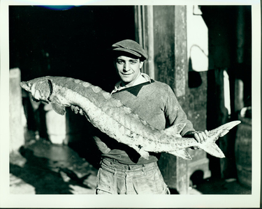 Half-length portrait of man, standing, facing front, holding a sturgeon, location unknown, undated