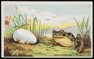 Eggspectation, location unknown, 1880s