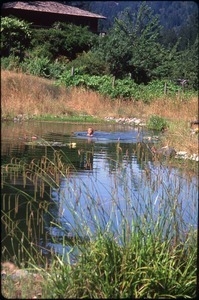 Maya Sommer in pond