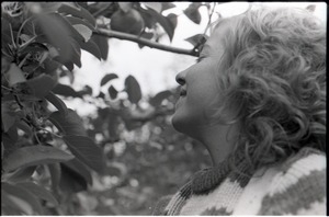 Julie Howard picking apples