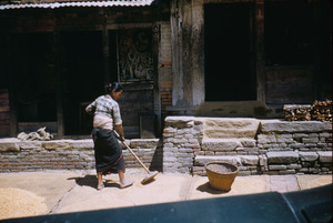 Woman spreads grain to dry