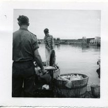 Spy Pond fish stocking