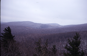 Panorama to the east from the top of a white pine in permanent plot 0712, Northeastern frame #2.