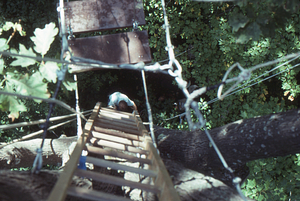 Canopy walkway 8. Barthold "Bart" Bouricius descends entry ladder from east end tower.