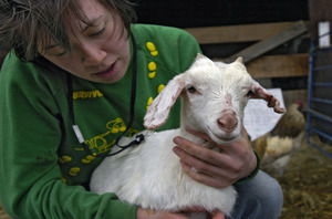 Overlook Farm (Heifer International): Heifer International resident volunteer Ellen Walsh holds Quinn, a one month old Nubian-Saanan goat