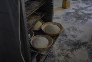 Hungry Ghost Bread: proofing bread dough