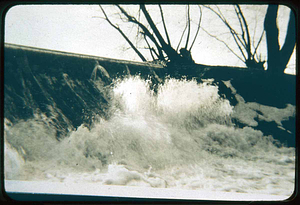 The Dam of Lilly Pond on Prankers Pond on Central Street, destroyed by greedy men