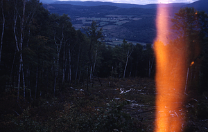 White Birch Regen. Study- Fall of 1954 after clear cutting. 2 Chain-wide Strip Replicate 1.