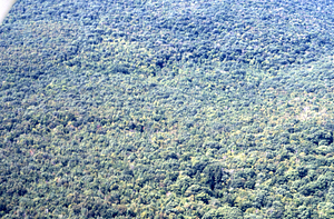 Aerial color image of western Hopkins Forest at base of Taconics, Cruise lines 10 and 9 around Plot lines 17.