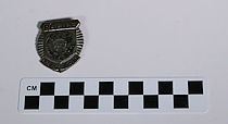 Badge, Police