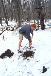 ENVI 102 - Introduction to Environmental Science - Ford Glen Brook Field Site. 10. Nick Nelson (Class of 2003) digs a soil pit.