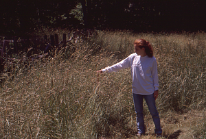 H.W. Art & D.P. Richardson - Merck Foundation Hayscented Fern Allelopathy Study 1. Sarah Hart (Class of 2002) in meadow site before treatment.