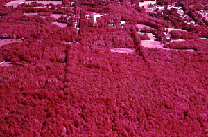 Aerial false color IR image of eastern portion of the Hopkins Memorial Forest entrance area west of Northwest Hill Road. False Color Infrared/True Color Project.