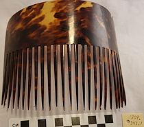 Comb, Ornamental
