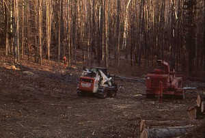 Clearing of old USFS poplar plantation to create old field research site. 5. Bobcat crawler and chipper machine.