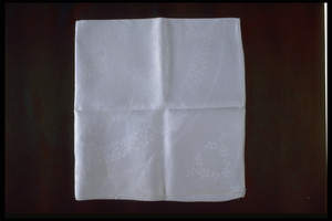 Napkin