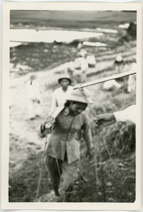 North Vietnamese woman soldier climbing hill, Thái Bình province