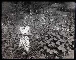 Dorothy Canfield Fisher standing in a garden, by a patch of hollyhocks